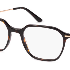 Cambri TORTOISE/GOLD - obrazek 2