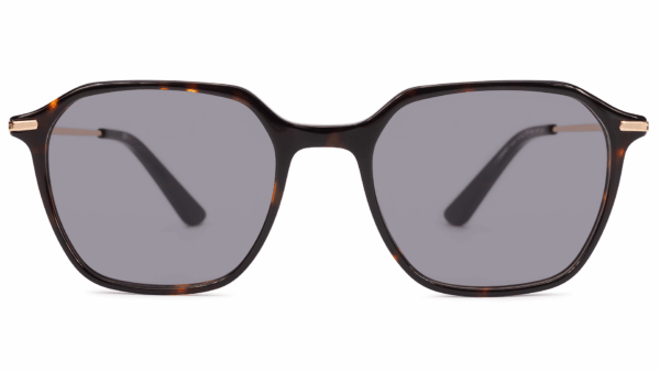 Cambri TORTOISE/GOLD