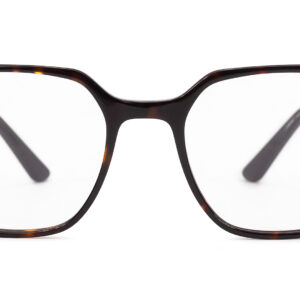 Cambri TORTOISE/GOLD - obrazek 3