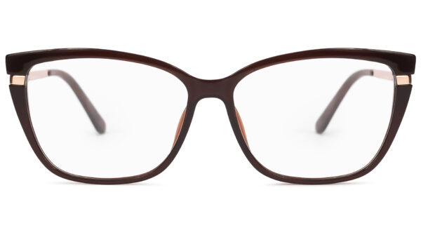 Evian BROWN/GOLD