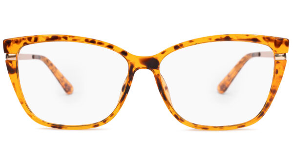 Evian TORTOISE/GOLD