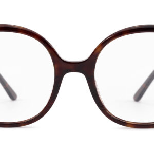 Monica TORTOISE - obrazek 3
