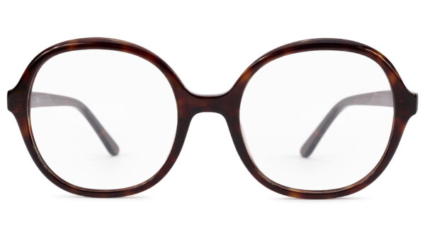 Monica TORTOISE