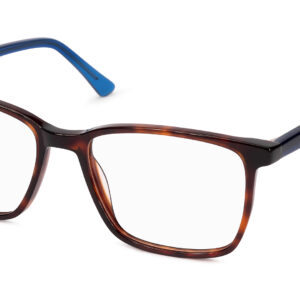 Valley TORTOISE/BLUE - obrazek 2