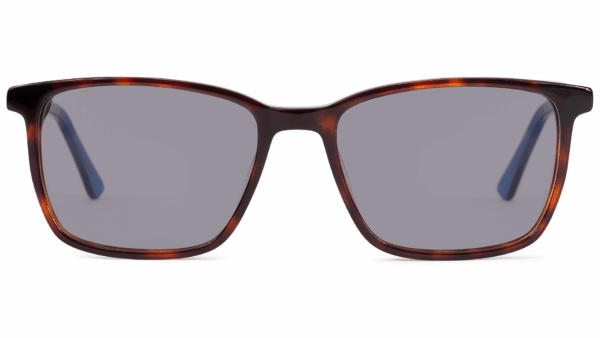 Valley TORTOISE/BLUE