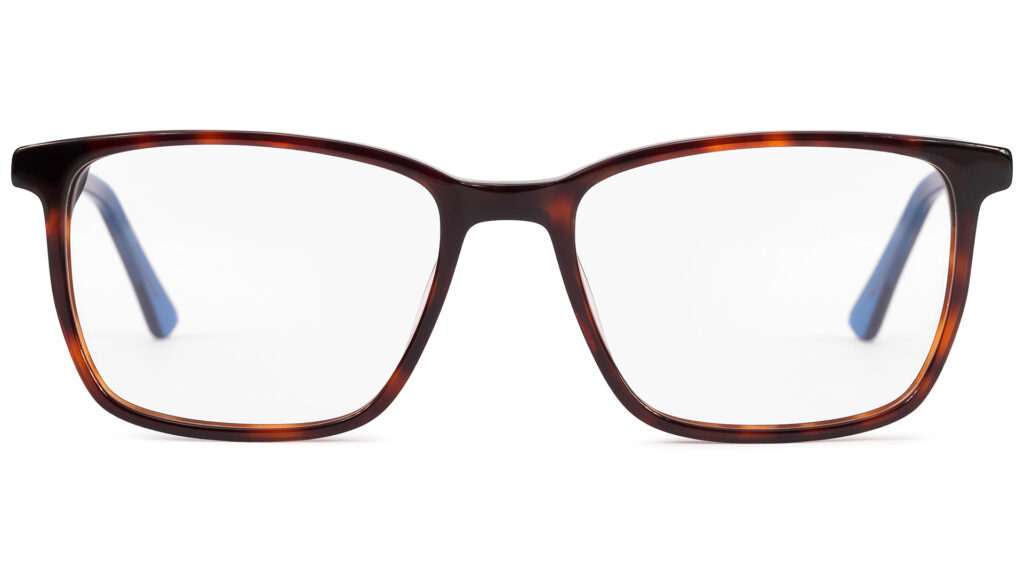 Valley TORTOISE/BLUE