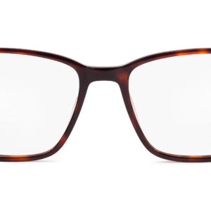 Valley TORTOISE/BLUE - obrazek 3