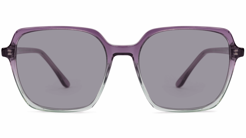 Rochelle MAUVE GRADIENT