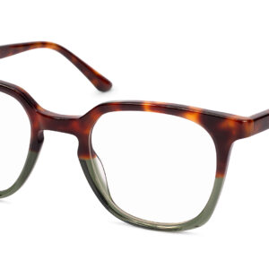 Napa TORTOISE/KHAKI - obrazek 2