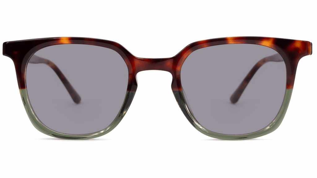 Napa TORTOISE/KHAKI