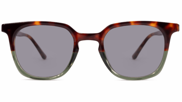 Napa TORTOISE/KHAKI