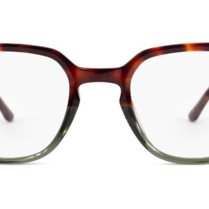 Napa TORTOISE/KHAKI - obrazek 3