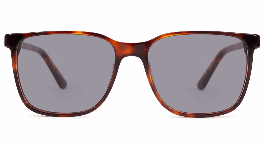 Laon TORTOISE