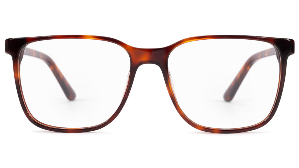 Laon TORTOISE
