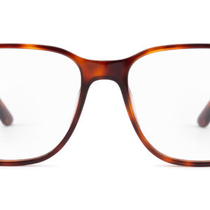 Laon TORTOISE - obrazek 3