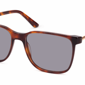 Laon TORTOISE - obrazek 2