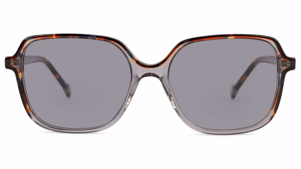 Davos TORTOISE GREY
