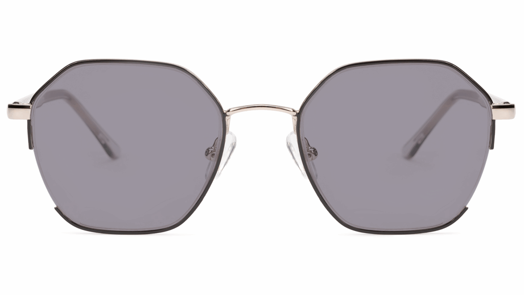 Corona SILVER/BLACK