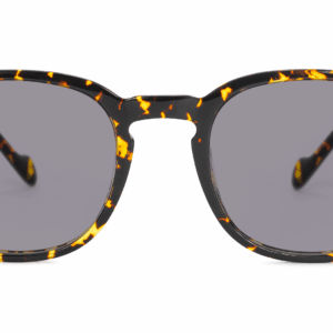 Cambridge TORTOISE - obrazek 3