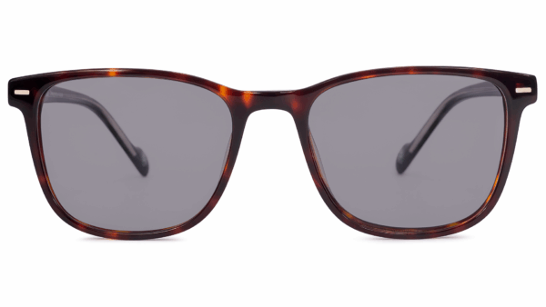 Pontivy TORTOISE/BLACK